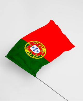 Bandeira de Mão